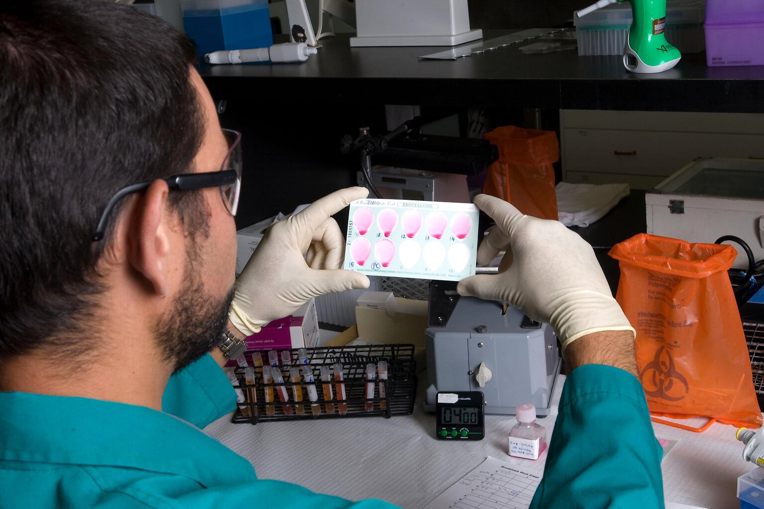 Serology and RT-PCR Training Advances Foot-and-Mouth Disease Laboratory Readiness